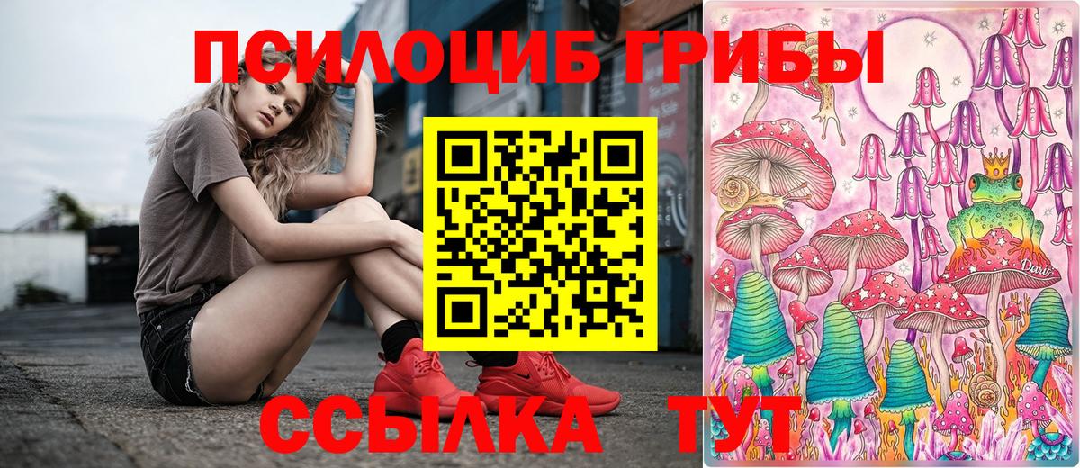 Псилоцибиновые грибы Psilocybine cubensis Алапаевск